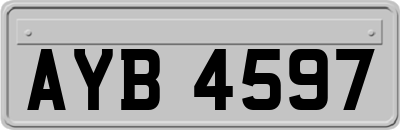 AYB4597