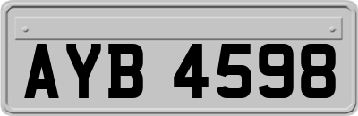 AYB4598