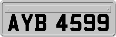 AYB4599