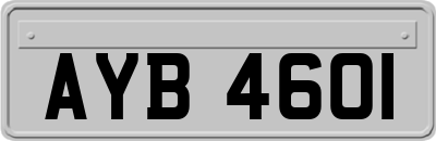 AYB4601
