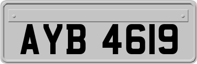 AYB4619