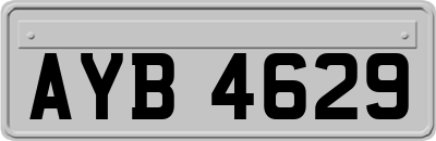 AYB4629