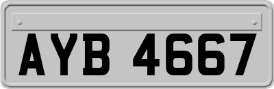 AYB4667