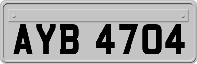 AYB4704