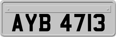 AYB4713