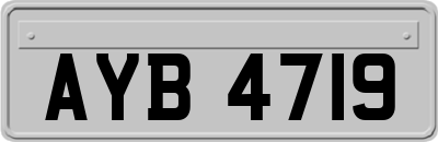 AYB4719