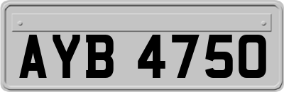 AYB4750