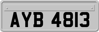 AYB4813