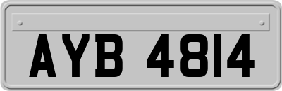 AYB4814
