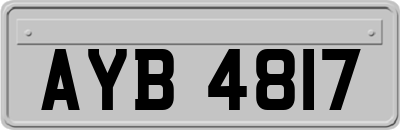 AYB4817