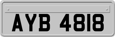 AYB4818