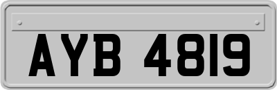 AYB4819