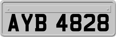 AYB4828