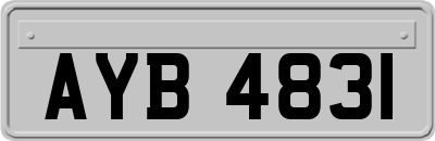 AYB4831