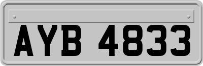 AYB4833