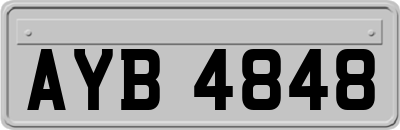 AYB4848