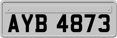 AYB4873