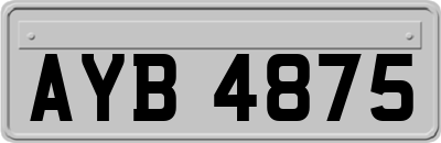 AYB4875