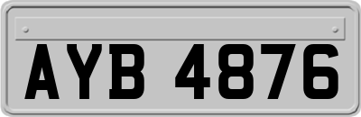 AYB4876