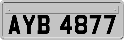 AYB4877