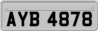 AYB4878