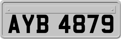 AYB4879