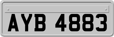 AYB4883