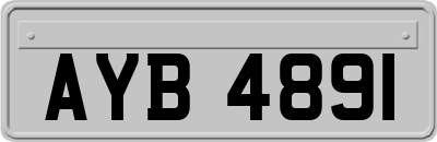 AYB4891