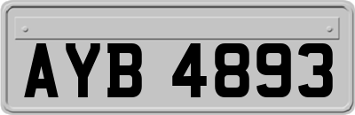 AYB4893