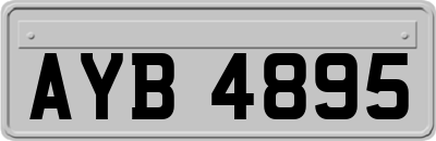 AYB4895