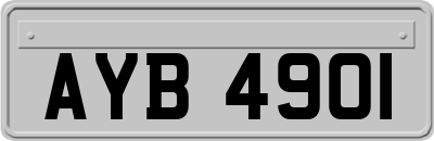 AYB4901