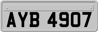 AYB4907