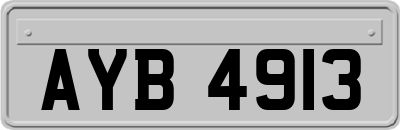AYB4913