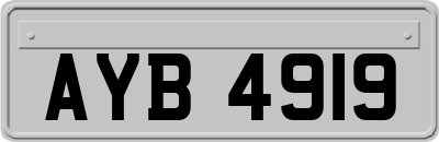 AYB4919