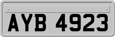 AYB4923
