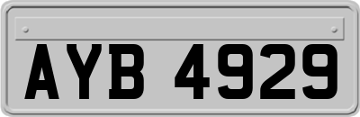 AYB4929