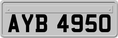 AYB4950