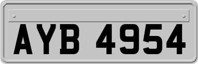 AYB4954