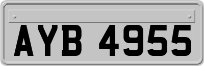 AYB4955