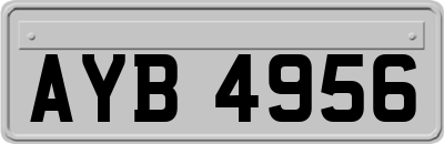 AYB4956