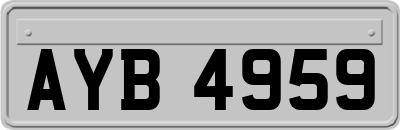 AYB4959