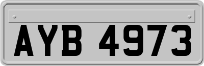 AYB4973