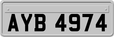 AYB4974