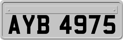 AYB4975
