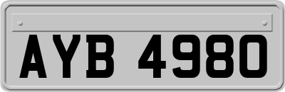 AYB4980
