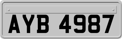 AYB4987