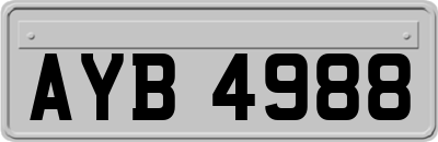 AYB4988