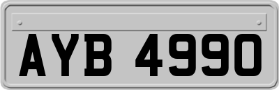 AYB4990