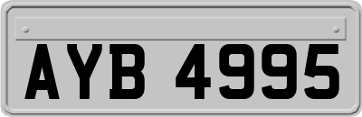 AYB4995