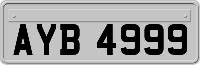 AYB4999